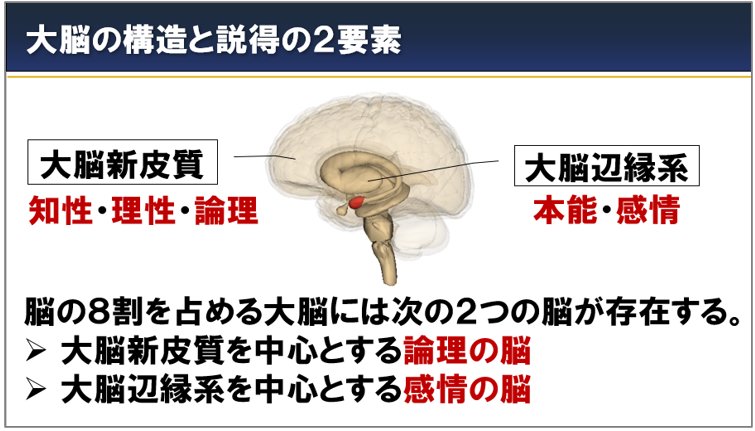 大脳の構造と説得の2要素